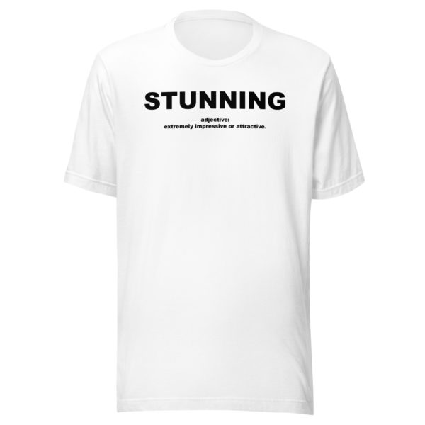 STUNNING Unisex t-shirt