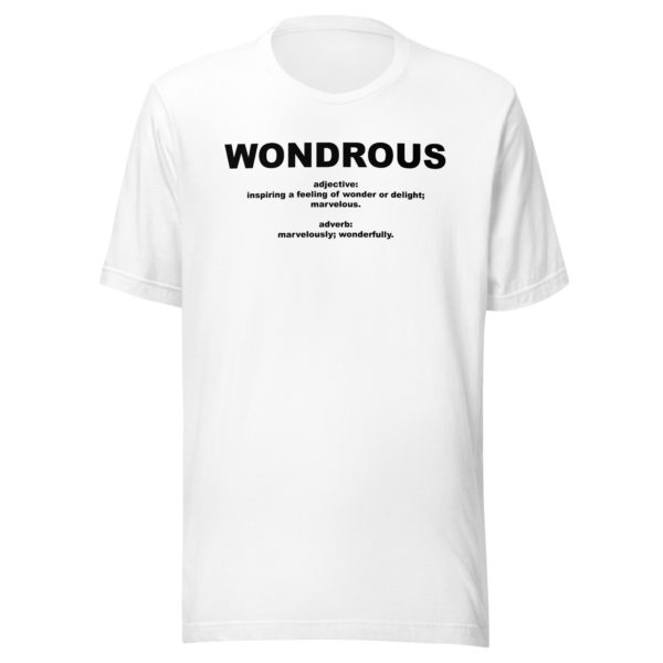 WONDROUS Unisex t-shirt