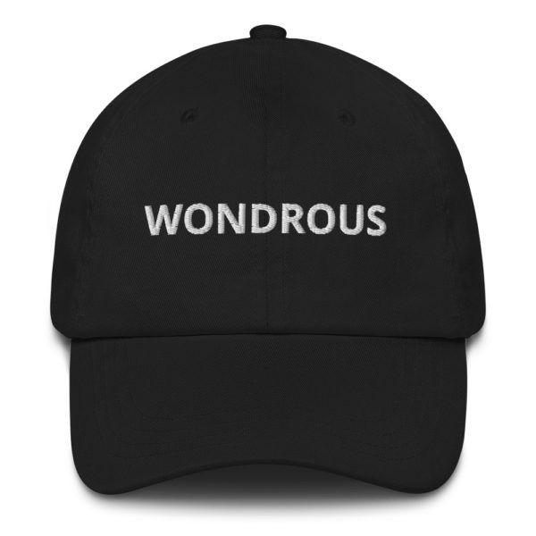 WONDROUS Dad hat