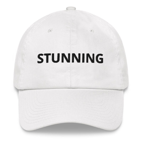 STUNNING Dad hat