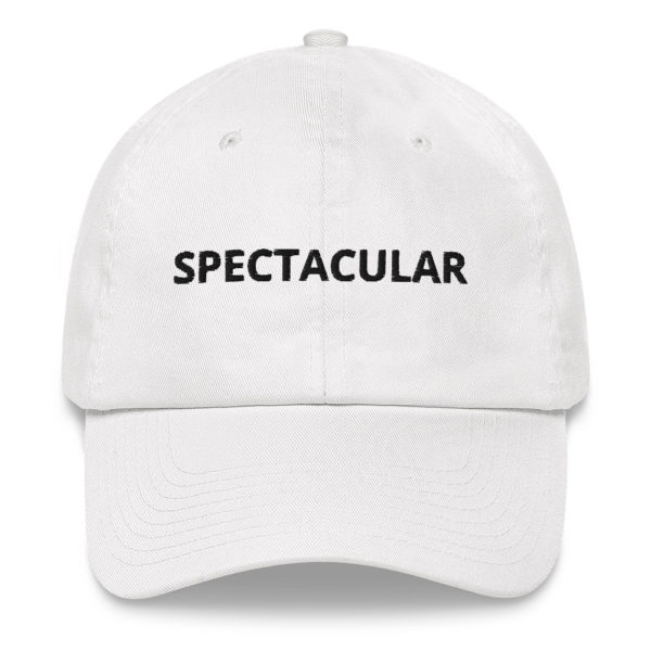 SPECTACULAR Dad hat