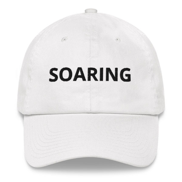 SOARING Dad hat