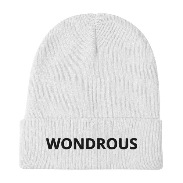 WONDROUS Embroidered Beanie