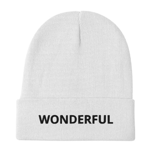 WONDERFUL Embroidered Beanie