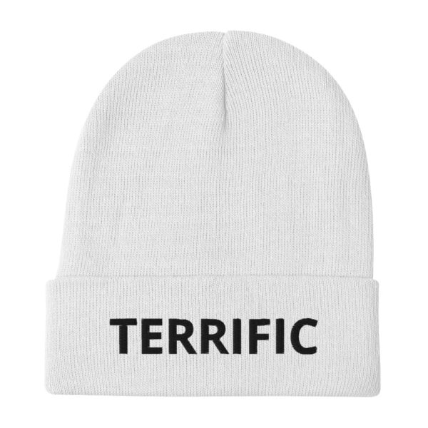 TERRIFIC Embroidered Beanie