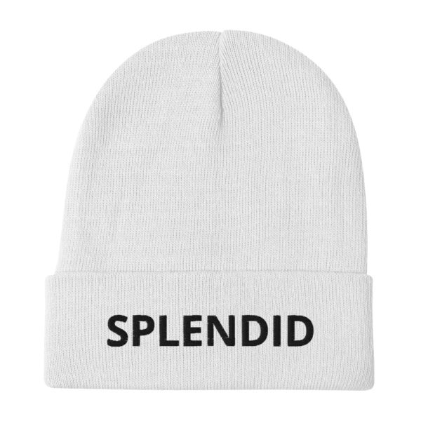 SPLENDID Embroidered Beanie