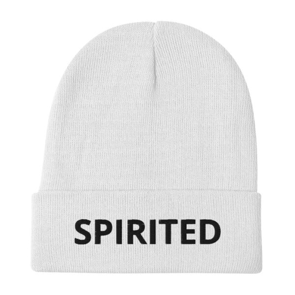 SPIRITED Embroidered Beanie